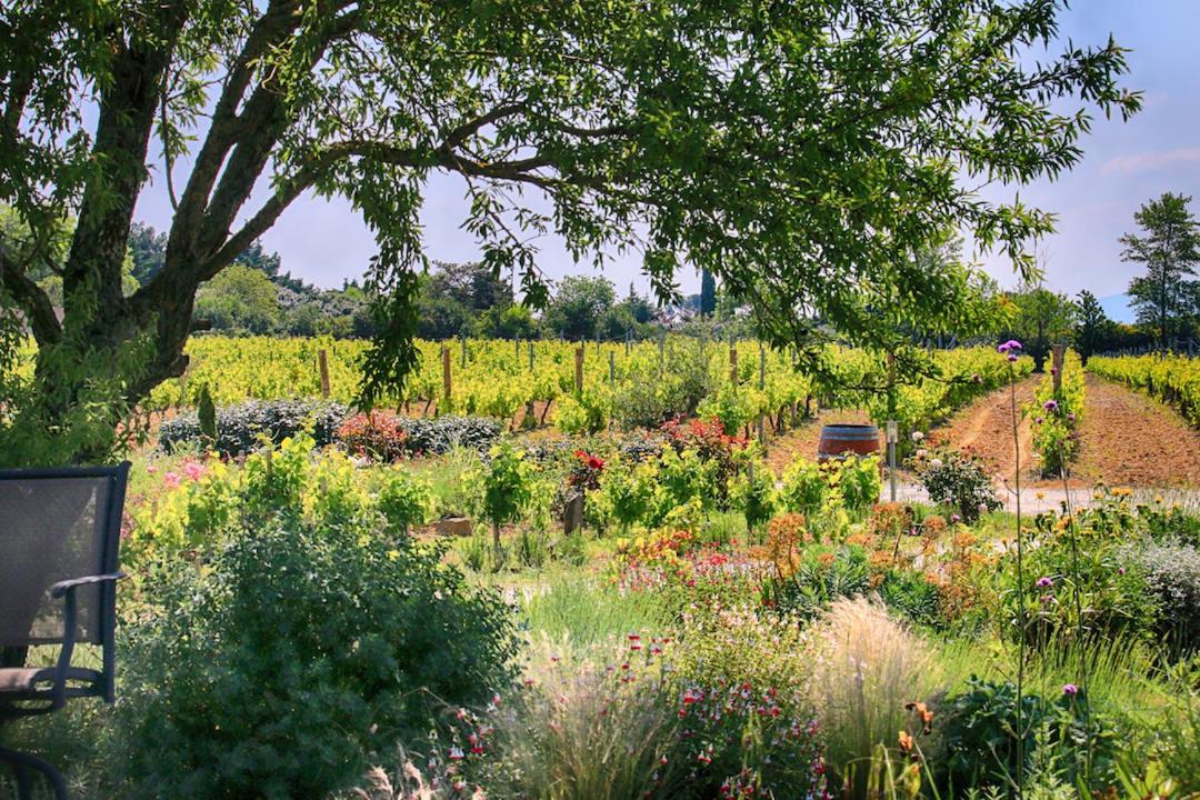 O'Vineyards B&B Carcassonne Villemoustaussou Εξωτερικό φωτογραφία