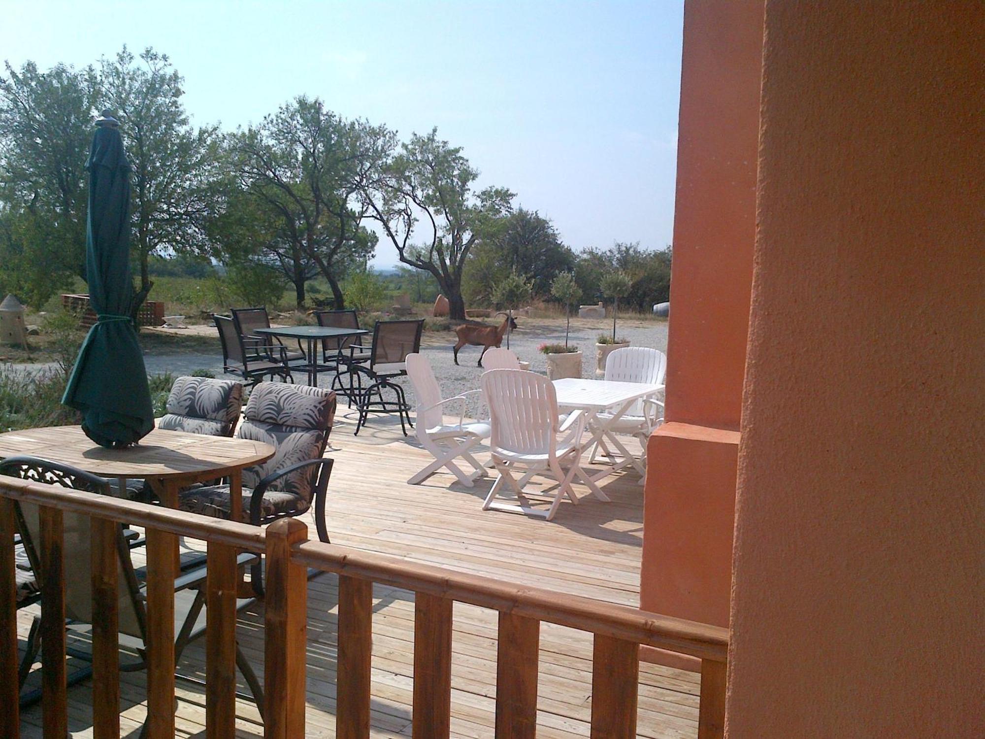 O'Vineyards B&B Carcassonne Villemoustaussou Εξωτερικό φωτογραφία