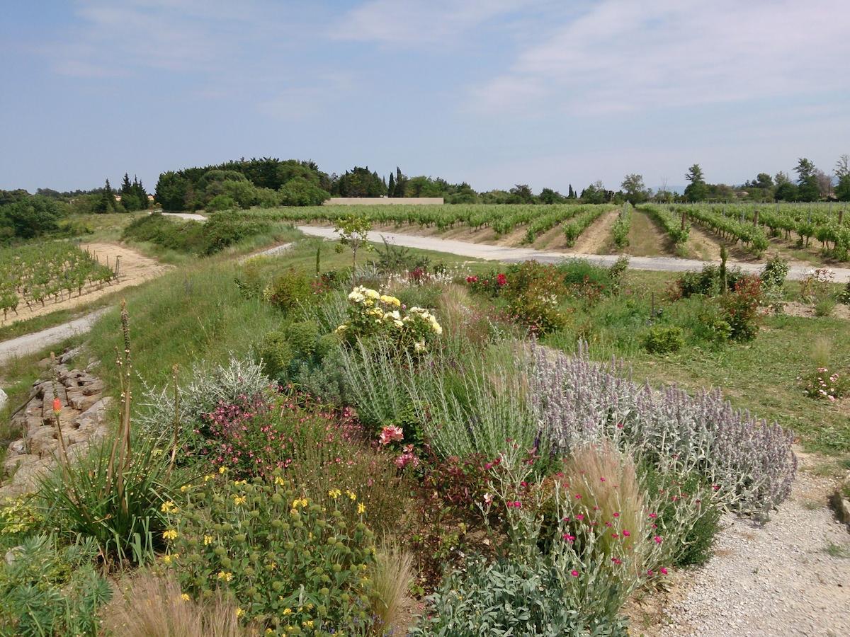 O'Vineyards B&B Carcassonne Villemoustaussou Δωμάτιο φωτογραφία