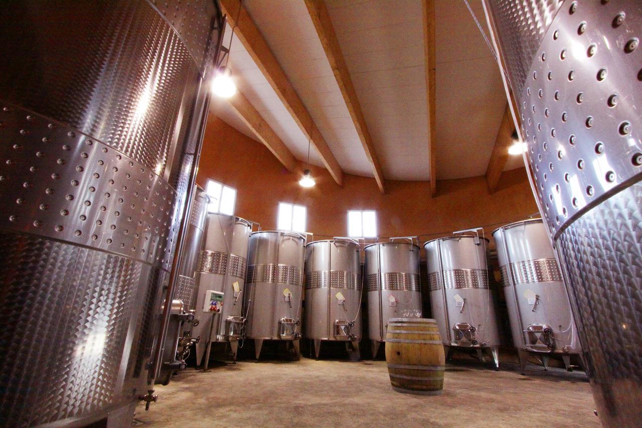 O'Vineyards B&B Carcassonne Villemoustaussou Εξωτερικό φωτογραφία