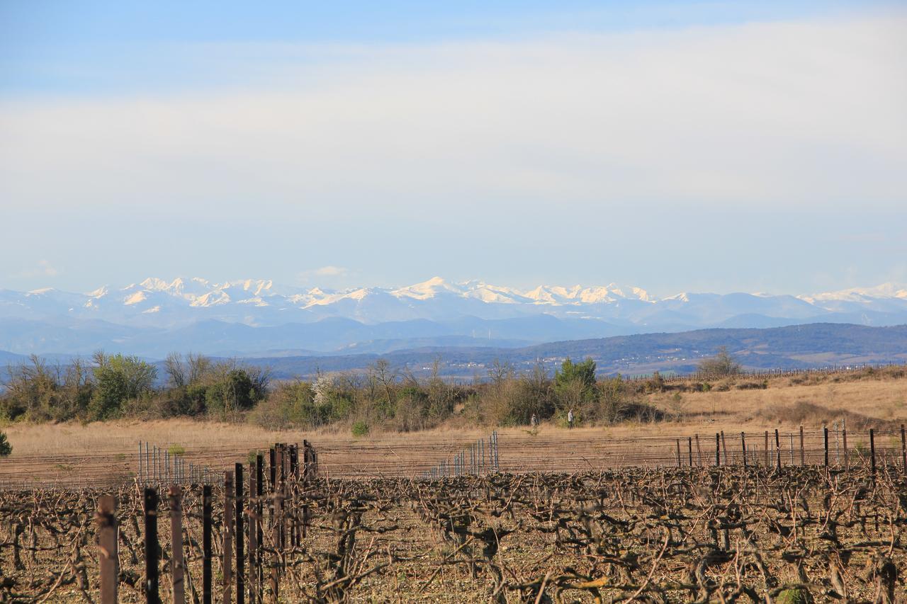 O'Vineyards B&B Carcassonne Villemoustaussou Εξωτερικό φωτογραφία