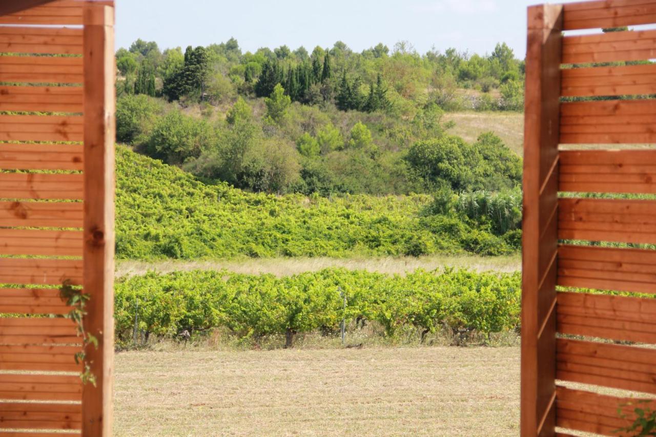O'Vineyards B&B Carcassonne Villemoustaussou Εξωτερικό φωτογραφία