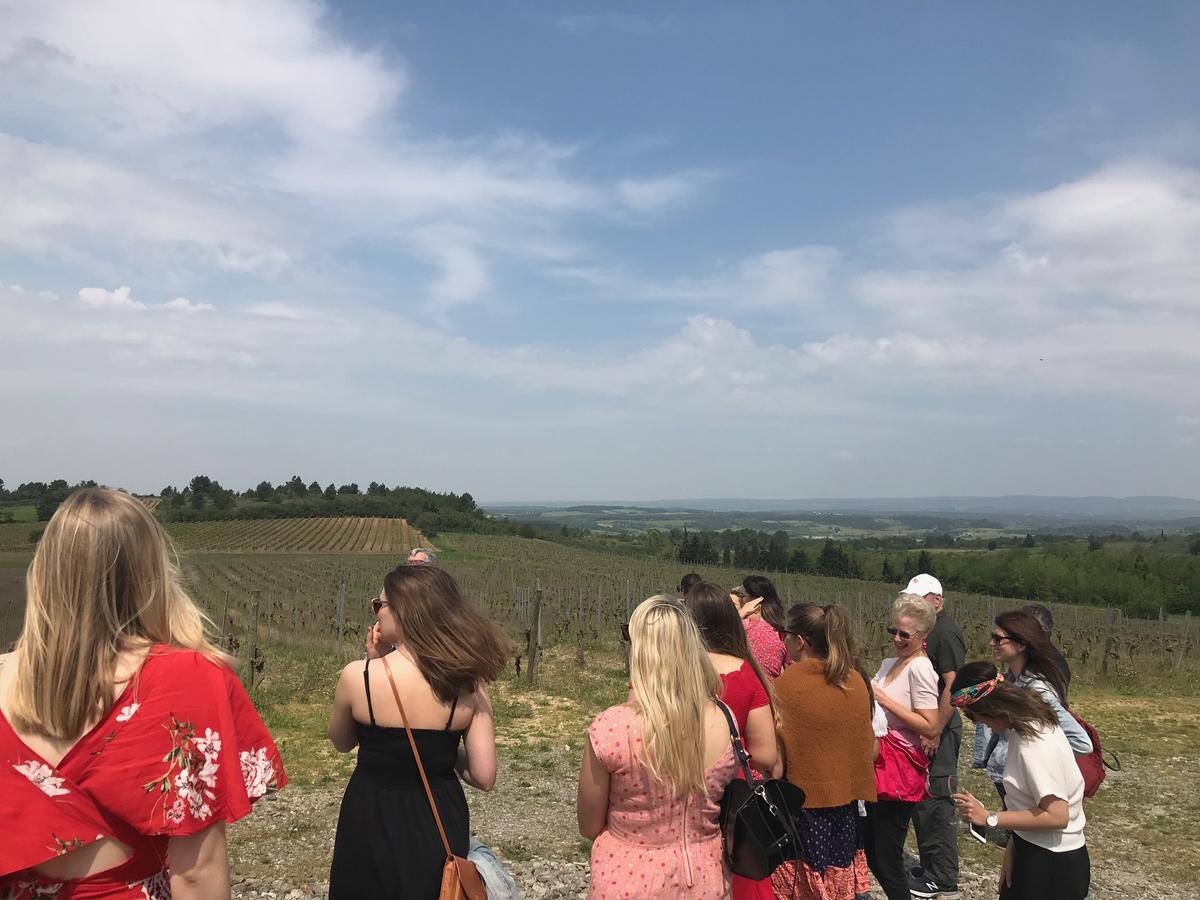 O'Vineyards B&B Carcassonne Villemoustaussou Εξωτερικό φωτογραφία